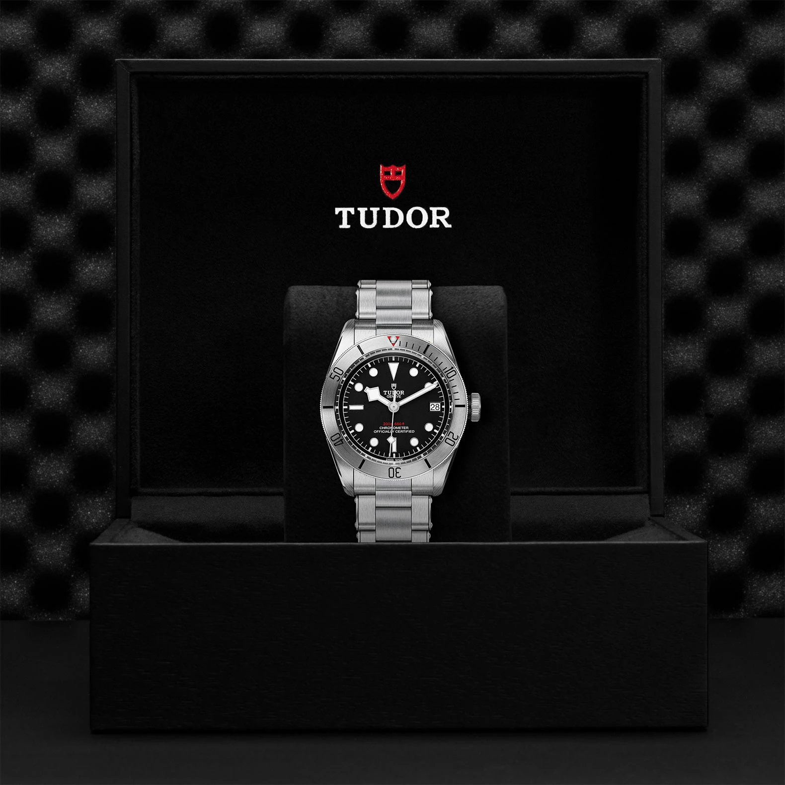 Montre TUDOR Black Bay Steel boîtier en acier 41 mm, bracelet en acier
