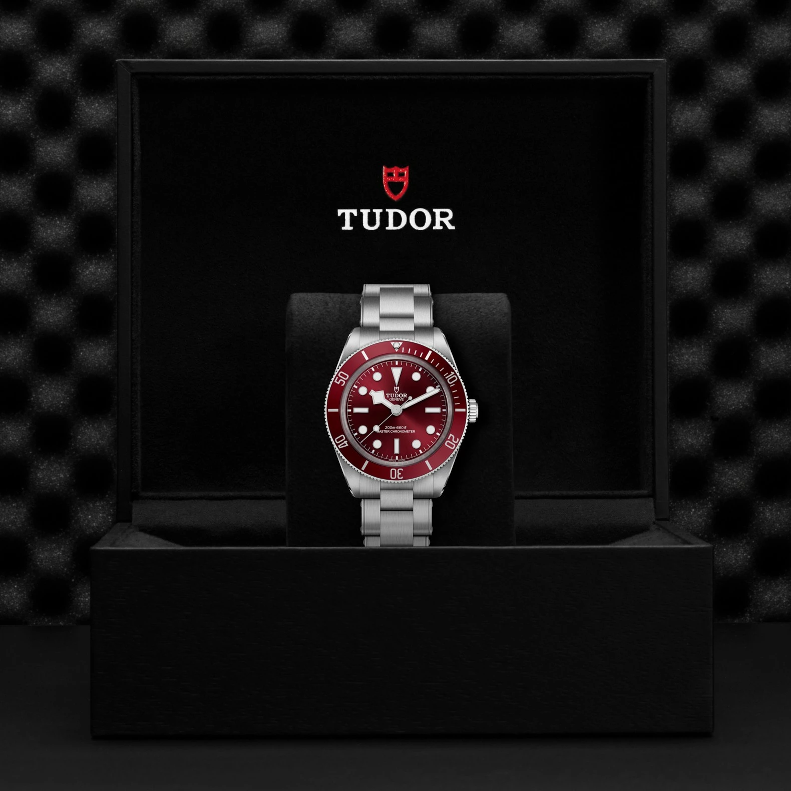 Montre TUDOR Black Bay 58, boîtier en acier, 39 mm, cadran bordeaux