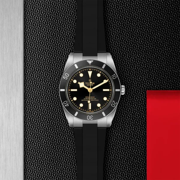 Montre TUDOR Black Bay 54 boîtier en acier, 37 mm, bracelet en caoutchouc noir