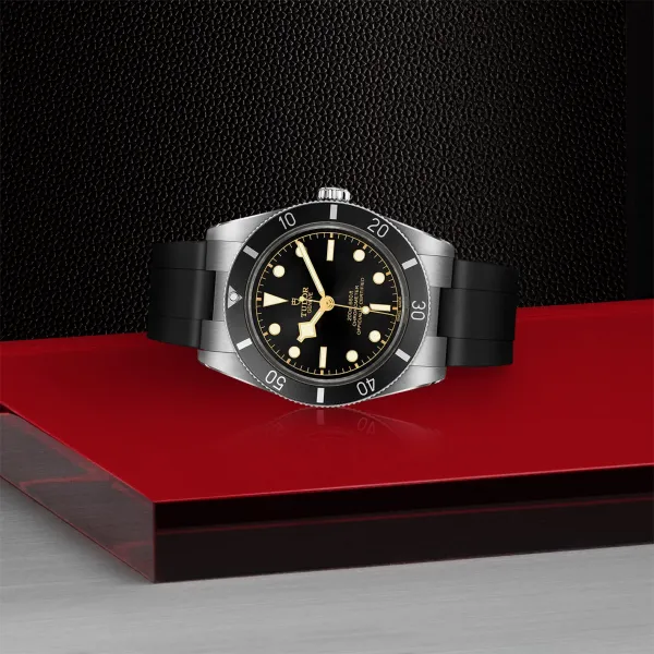 Montre TUDOR Black Bay 54 boîtier en acier, 37 mm, bracelet en caoutchouc noir