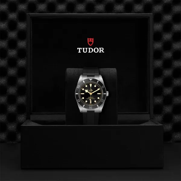 Montre TUDOR Black Bay 54 boîtier en acier, 37 mm, bracelet en caoutchouc noir