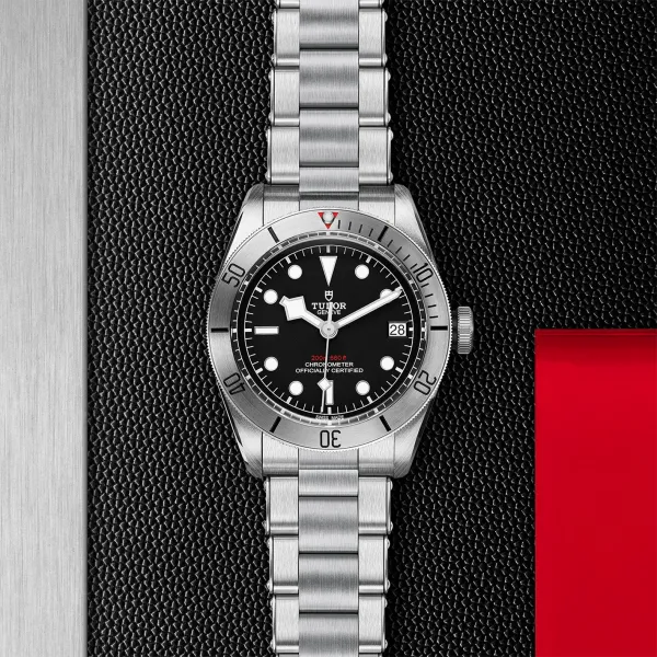 Montre TUDOR Black Bay Steel boîtier en acier 41 mm, bracelet en acier