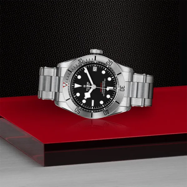 Montre TUDOR Black Bay Steel boîtier en acier 41 mm, bracelet en acier