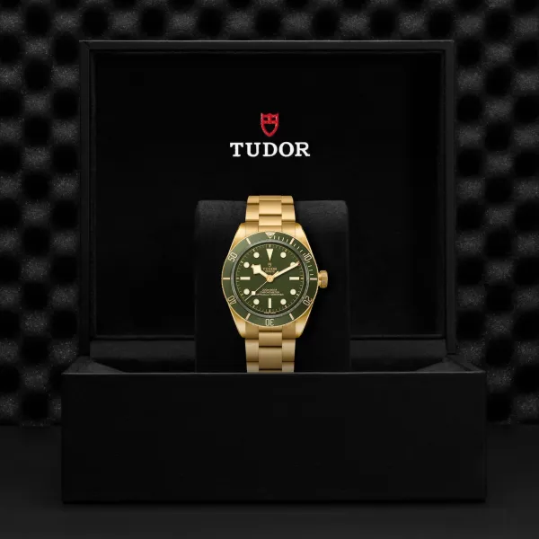 Montre TUDOR Black Bay 58 18K, Boîtier En Or Jaune, 39 Mm, Bracelet En Or Jaune