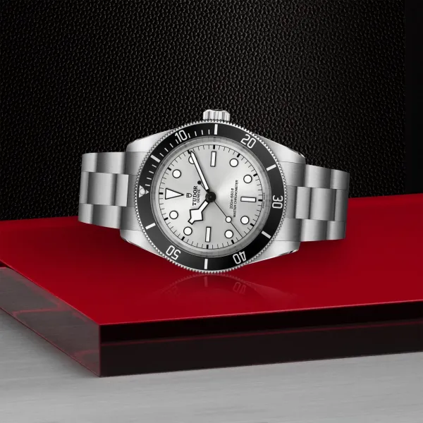 Montre TUDOR Black Bay 68, boîtier en acier, 43 mm, cadran argenté
