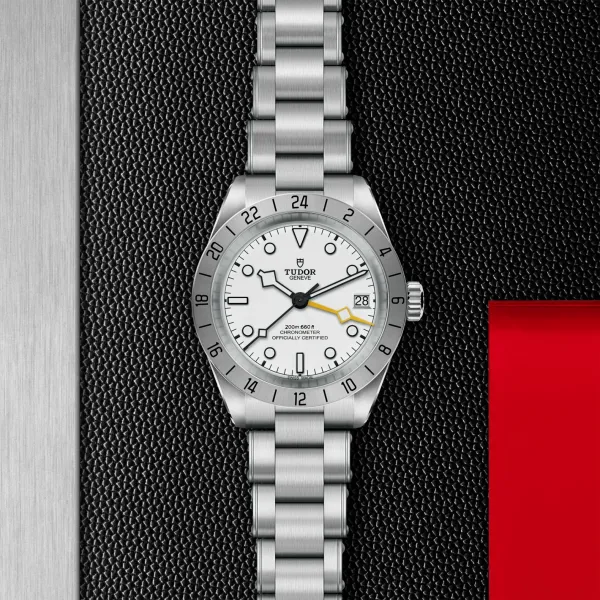 Montre TUDOR Black Bay Pro, boîtier en acier, 39 mm, cadran opalin